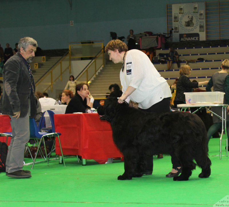 Фотография № 179624