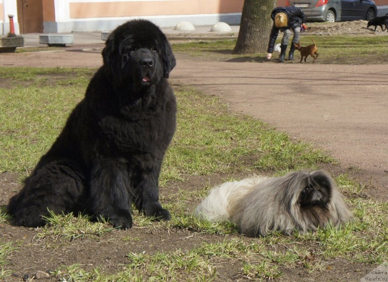 Фотография № 179646