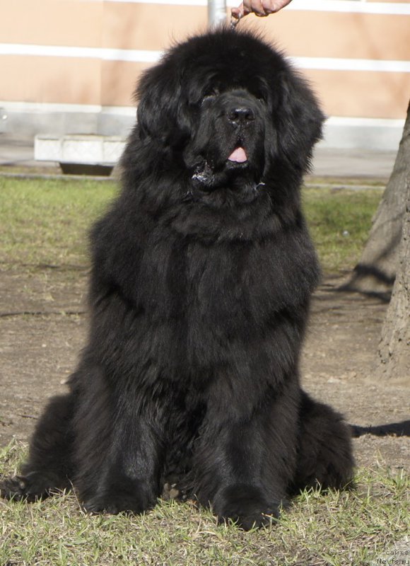 Фотография № 179649