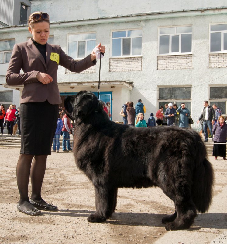 Фотография № 179664