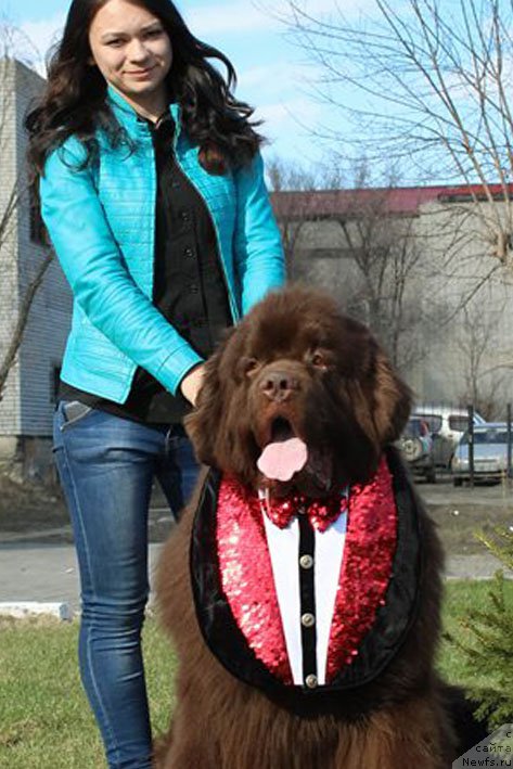 Фотография № 179738