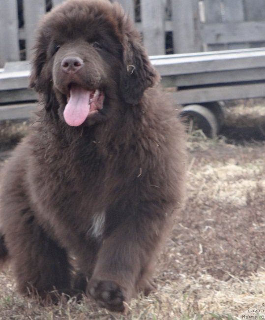 Фотография № 179758