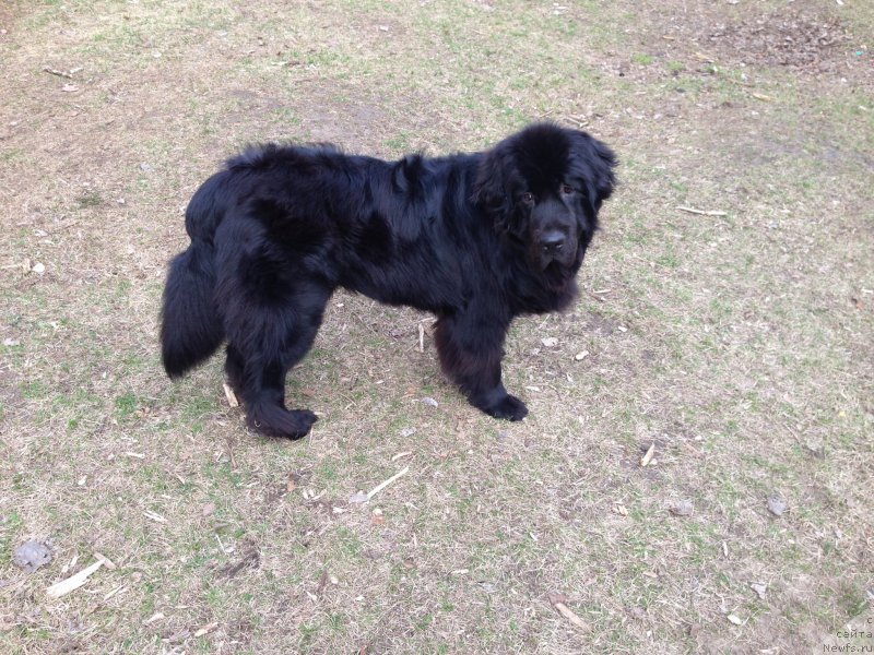 Фотография № 179759