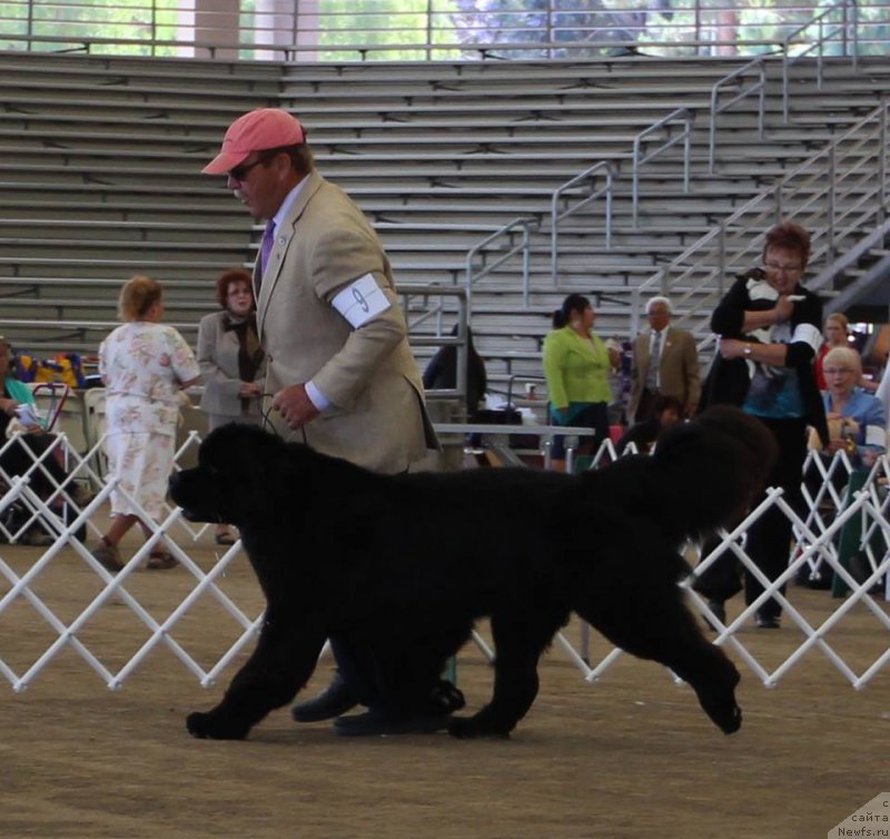 Фотография № 179781