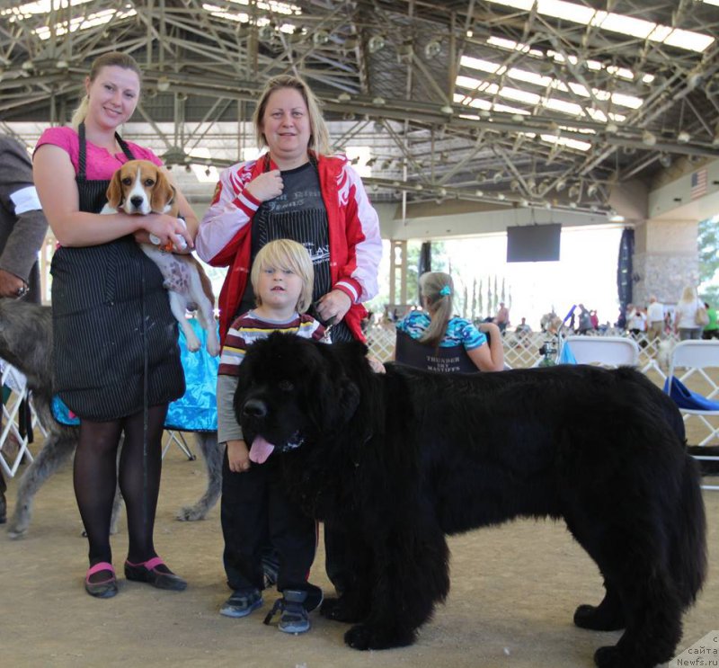 Фотография № 179782