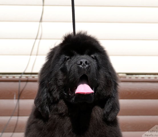 Фотография № 179787