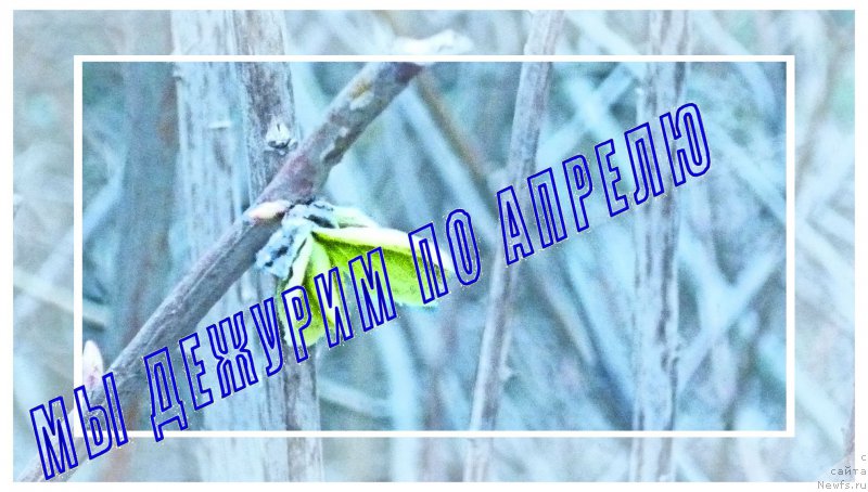 Фотография № 179794