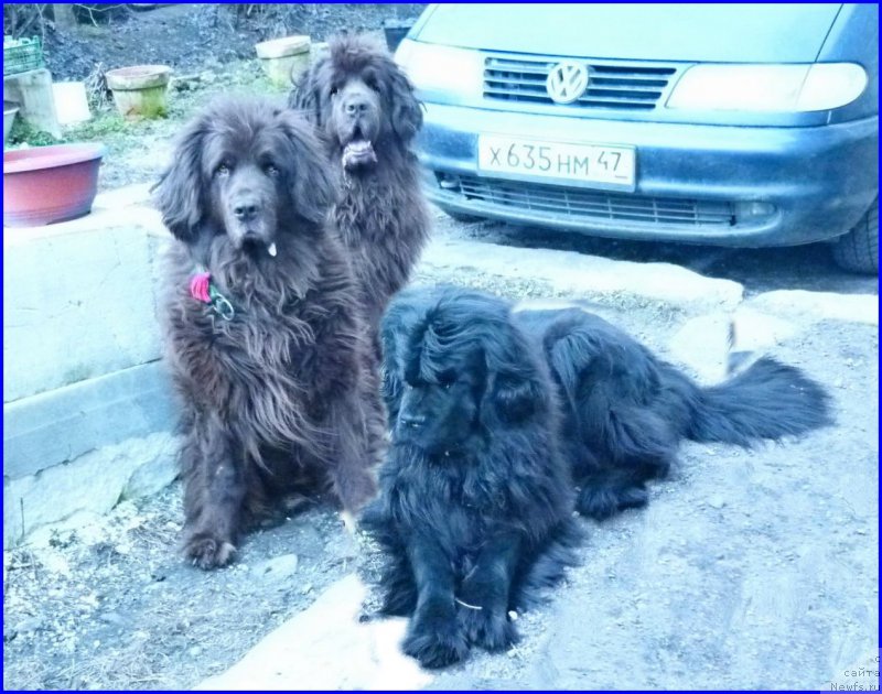 Фотография № 179795