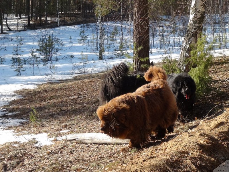 Фотография № 179807