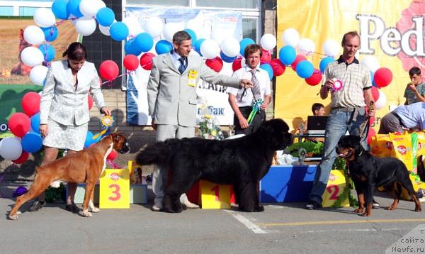 Фотография № 17981