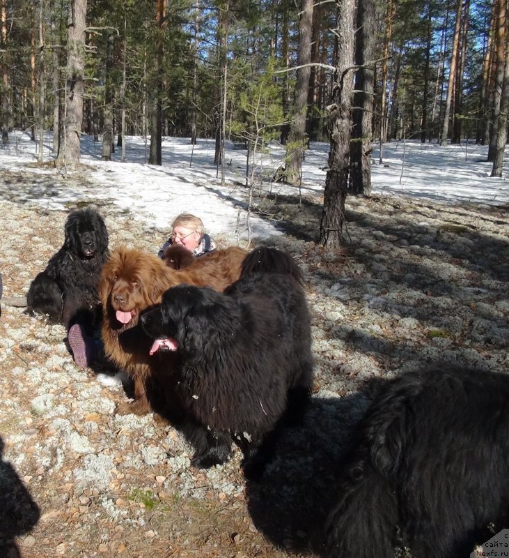 Фотография № 179811