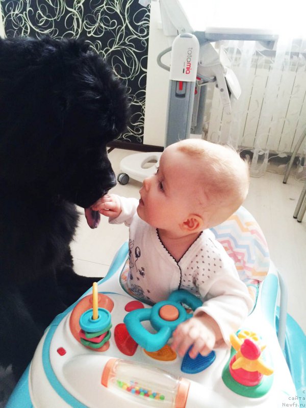 Фотография № 179812