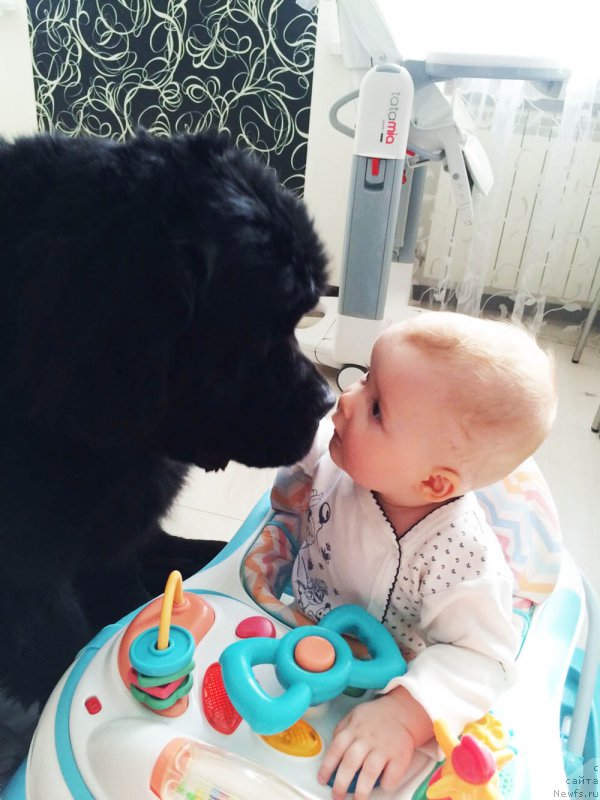 Фотография № 179813