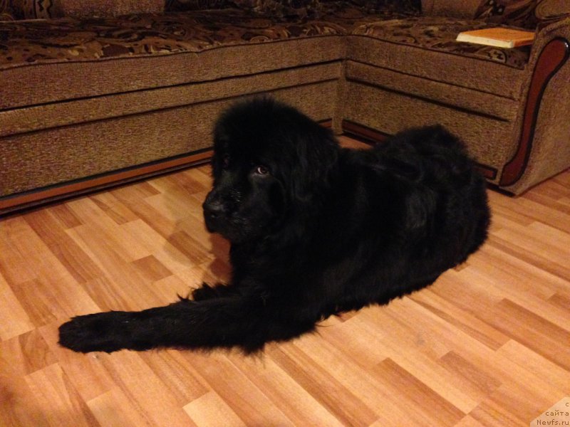 Фотография № 179816