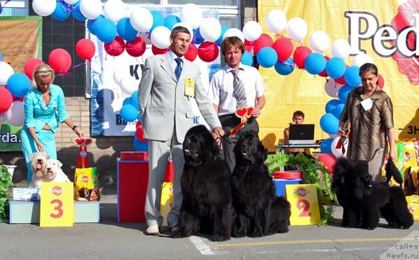 Фотография № 17982