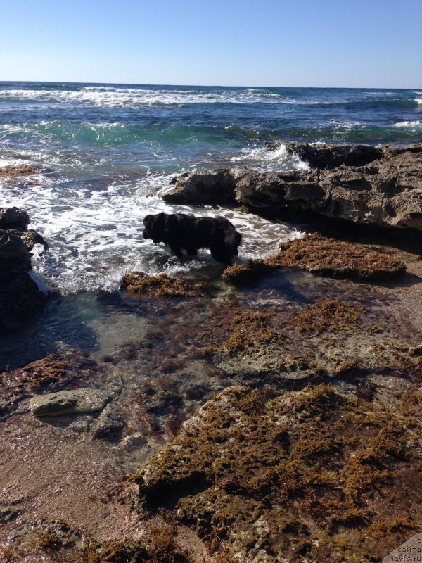 Фотография № 179820