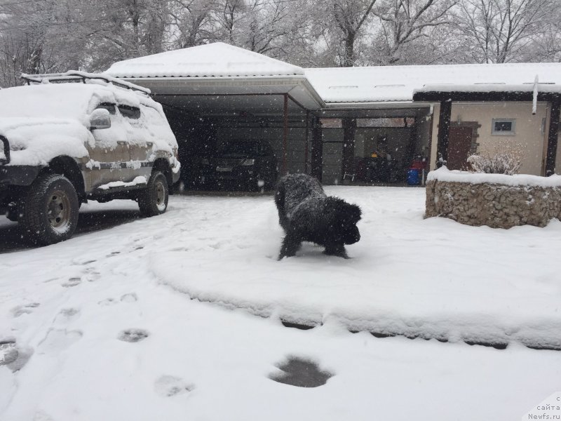 Фото: Акватория Келвин Яркий Парень