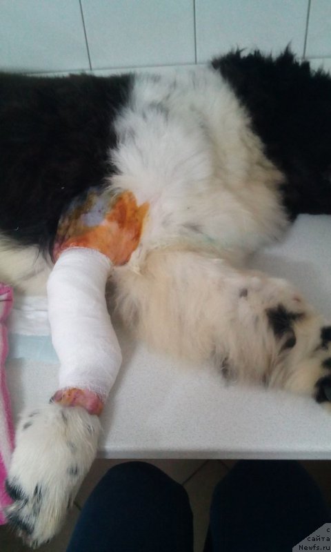 Фотография № 179842