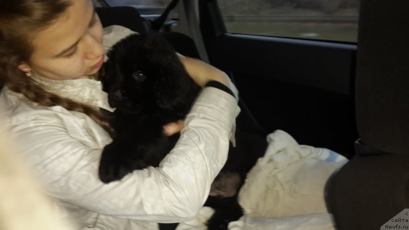 Фотография № 179893