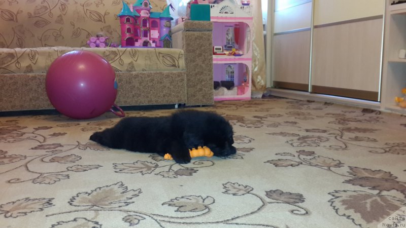 Фотография № 179897