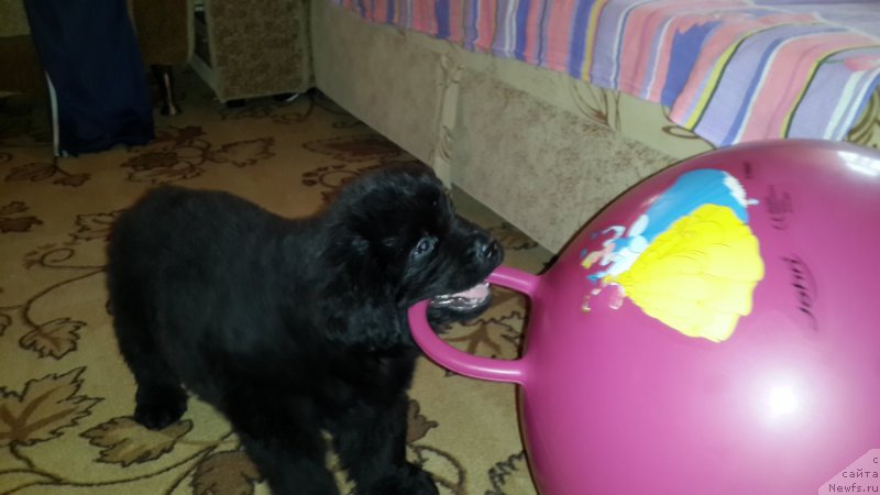 Фотография № 179899