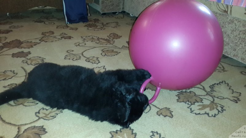 Фотография № 179900