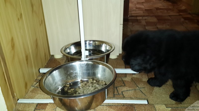 Фотография № 179902