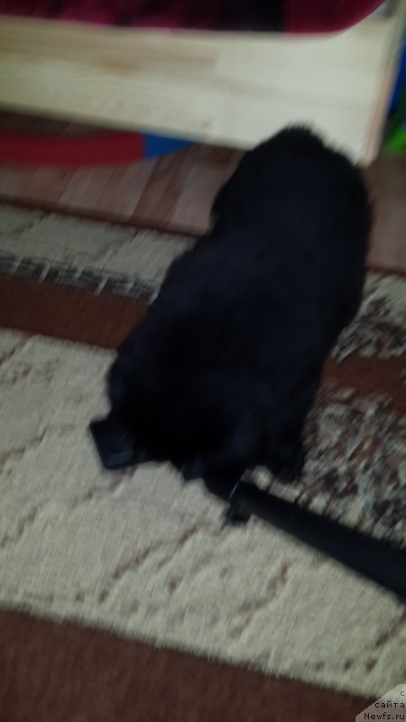 Фотография № 179903