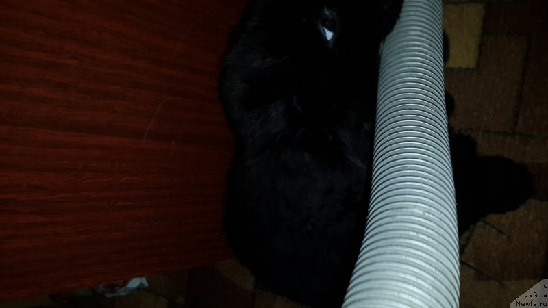 Фотография № 179904