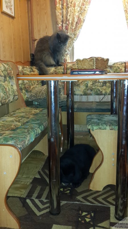 Фотография № 179916