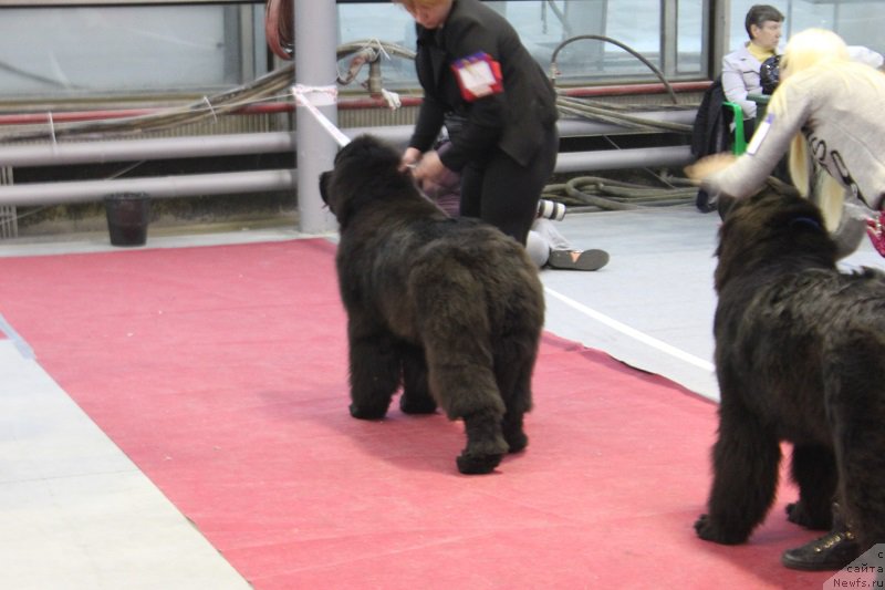 Фотография № 180024