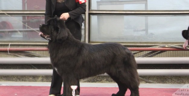 Фотография № 180025