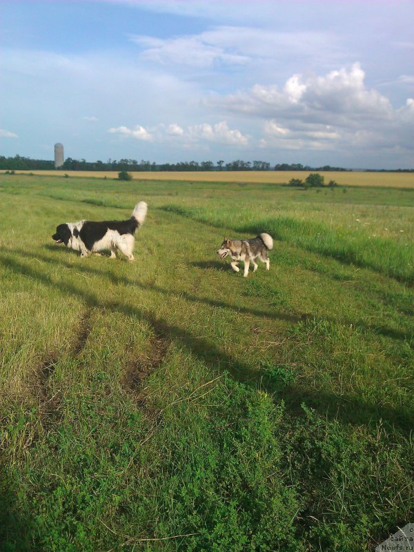 Фотография № 180041