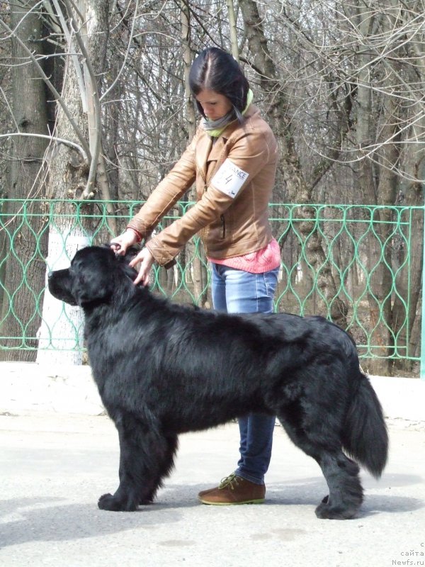 Фото: [d13478] Мила Плисенко