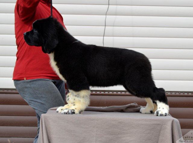 Фотография № 180052