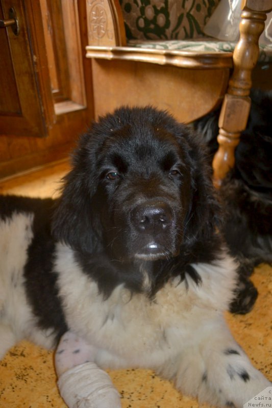 Фотография № 180081