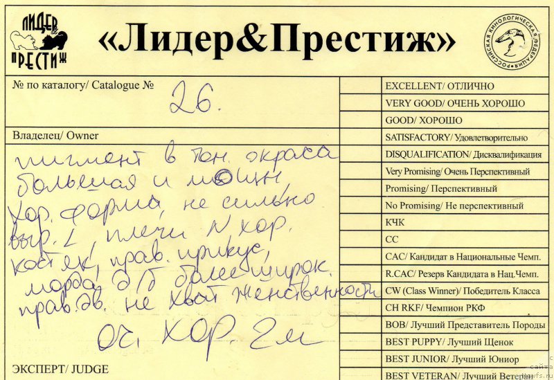 Фотография № 180101