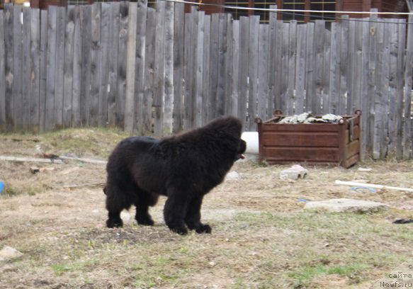 Фотография № 180144