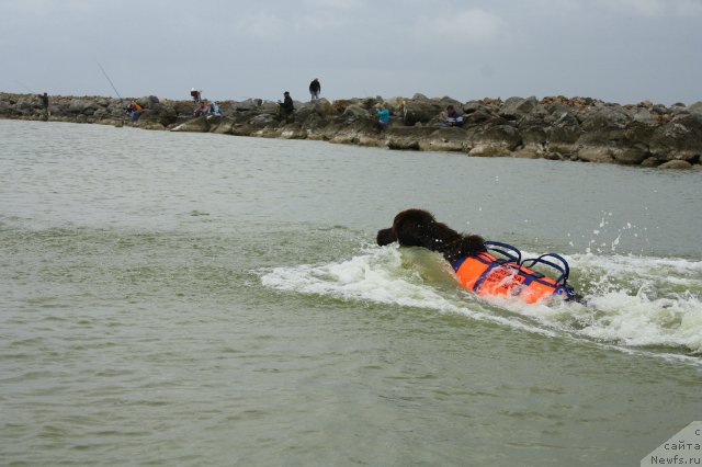 Фото: Natal'ya Smazchikova (Наталья Смазчикова)