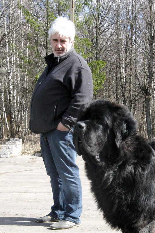 Фотография № 180188