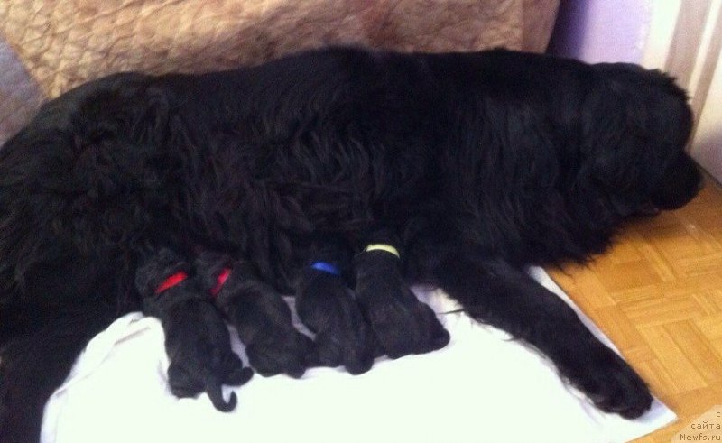 Фотография № 180193