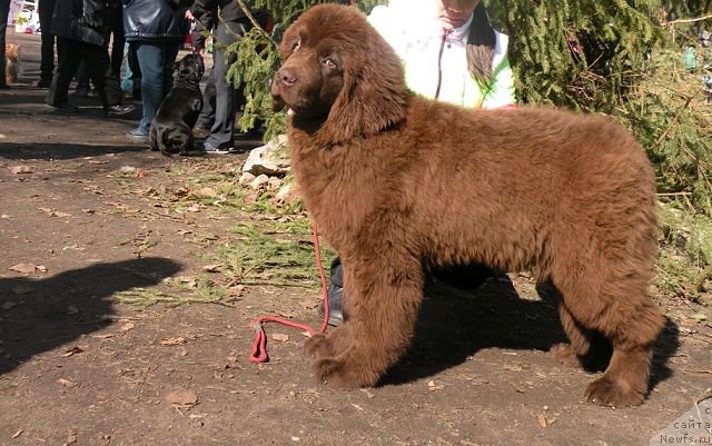 Фотография № 180224