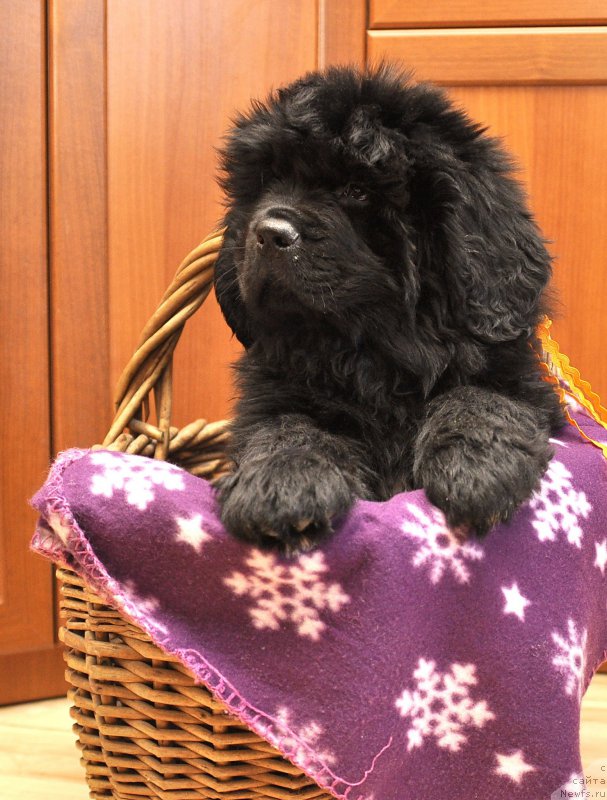 Фотография № 180232