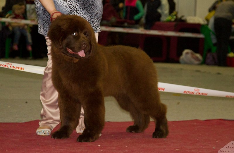 Фотография № 180254