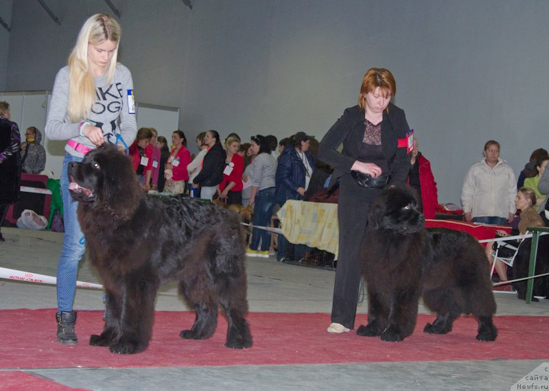 Фотография № 180257