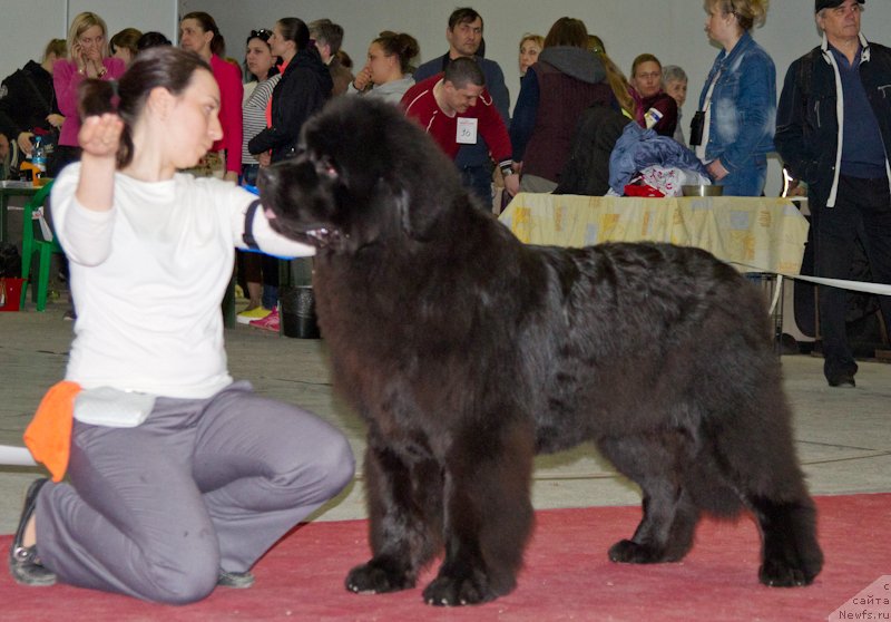 Фотография № 180260