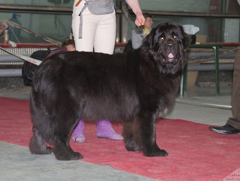 Фотография № 180261