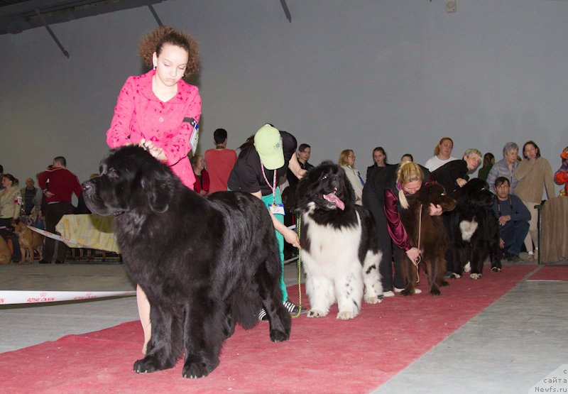 Фотография № 180267