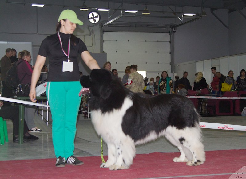 Фотография № 180268