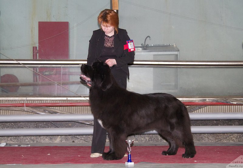 Фотография № 180269